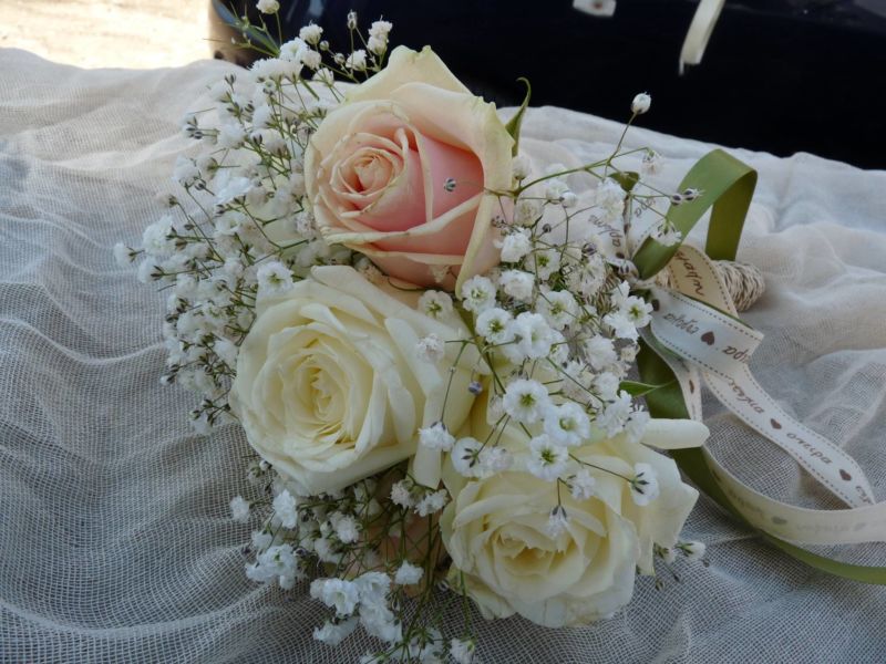 12841429_1045403968857067_1433297892291778594_o