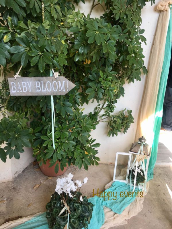 stolismos_vaptisis_trenaki_egina_2